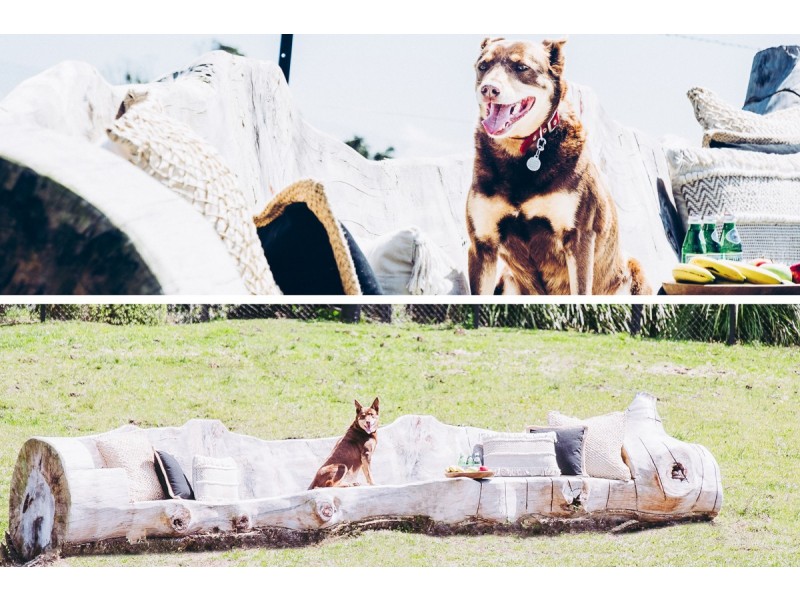 30 Blackmores Road, Alstonville NSW 2477