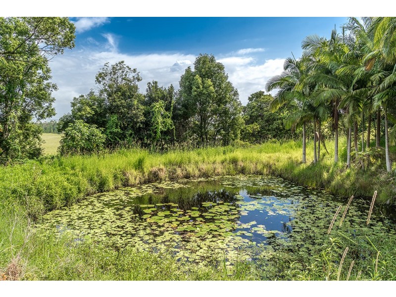 61 Scanlan Lane, Lennox Head NSW 2478