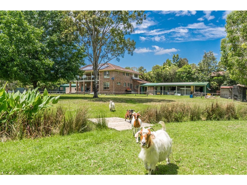 3 Poinciana Street, Mullumbimby NSW 2482