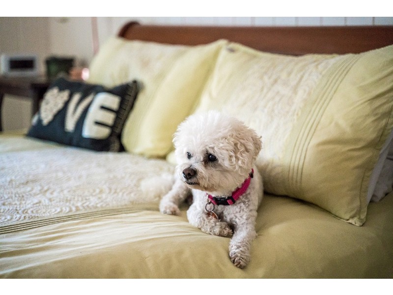 58 Parkway Drive, Ewingsdale NSW 2481