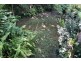 Lot 2 Mountain Blue Court, Myocum NSW 2481