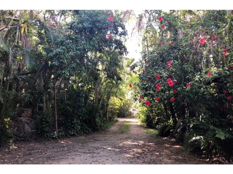 Lot 2 Mountain Blue Court, Myocum NSW 2481