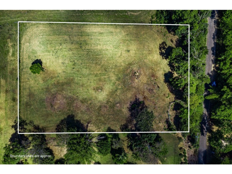 2/1141 Friday Hut Road, Binna Burra NSW 2479