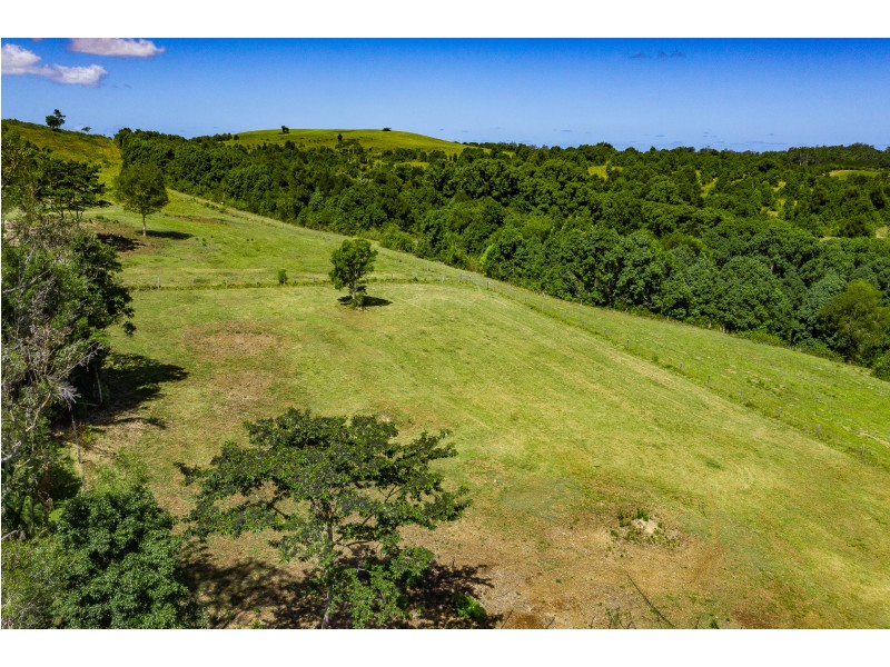 2/1141 Friday Hut Road, Binna Burra NSW 2479