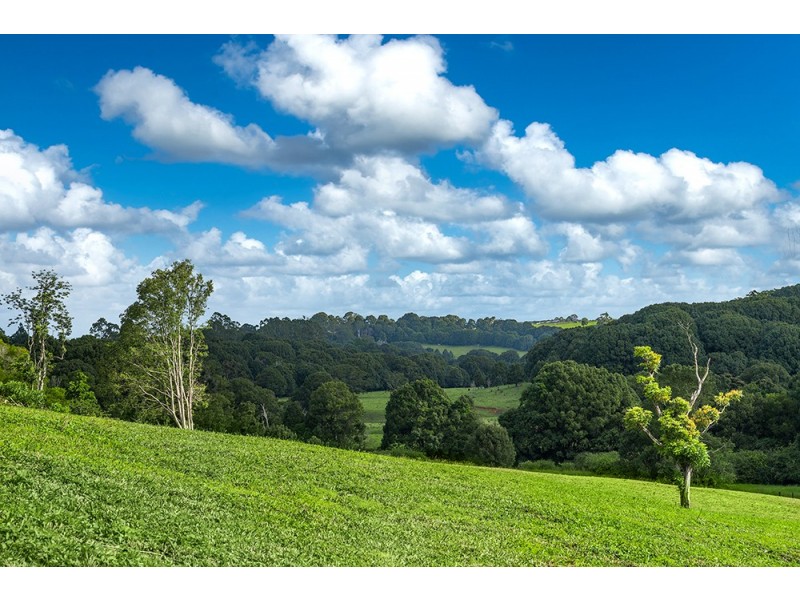 331 Binna Burra Road, Binna Burra NSW 2479