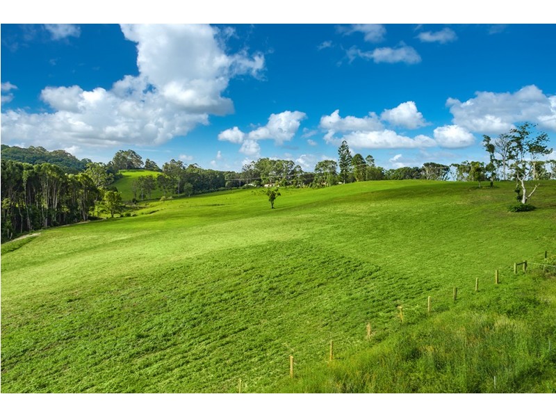 331 Binna Burra Road, Binna Burra NSW 2479