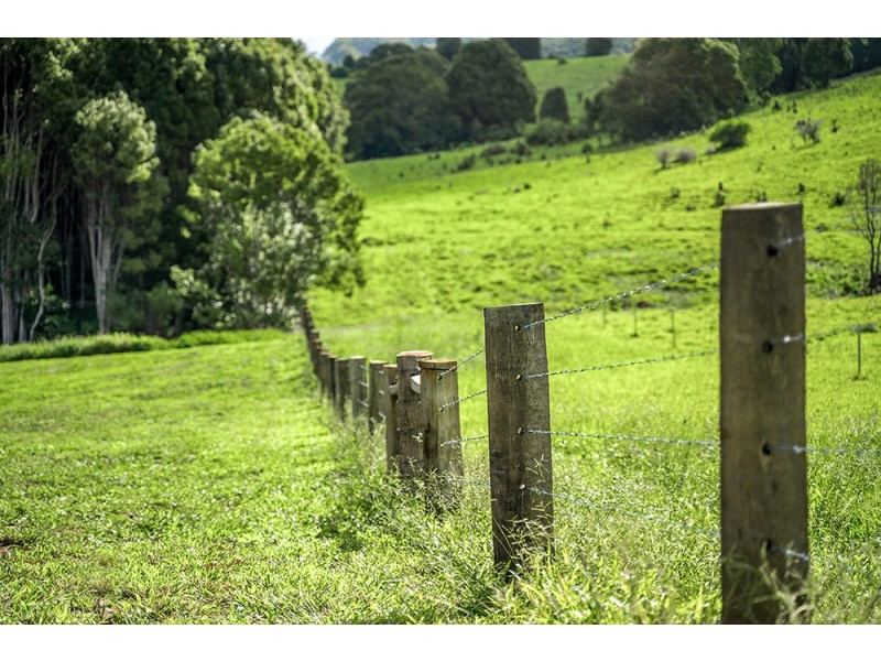 331 Binna Burra Road, Binna Burra NSW 2479