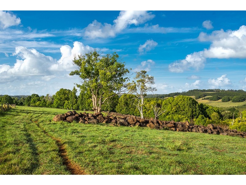 Lot 4 Booyong Road, Booyong NSW 2480