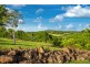 Lot 4 Booyong Road, Booyong NSW 2480