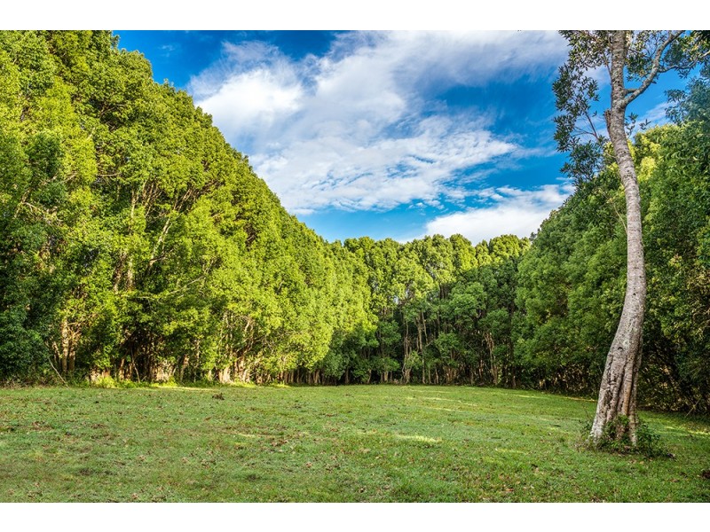 Lot 4 Booyong Road, Booyong NSW 2480