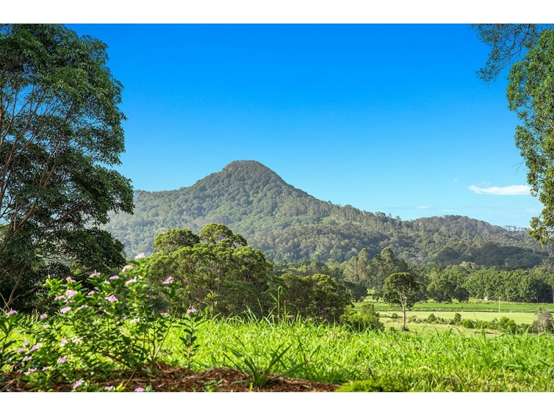 86 Brushbox Drive, Mullumbimby NSW 2482