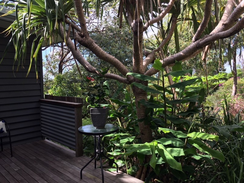 79A Paterson Street, Byron Bay NSW 2481