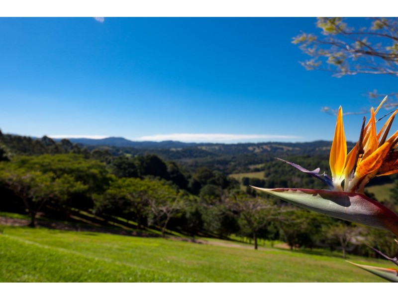 409 Ridgewood Road, Rosebank NSW 2480