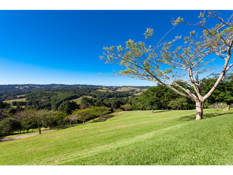 409 Ridgewood Road, Rosebank NSW 2480