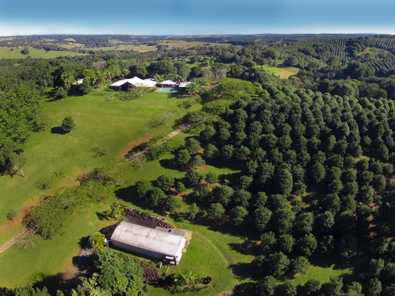 409 Ridgewood Road, Rosebank NSW 2480