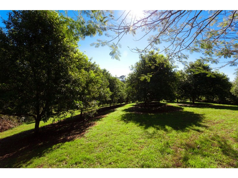 409 Ridgewood Road, Rosebank NSW 2480