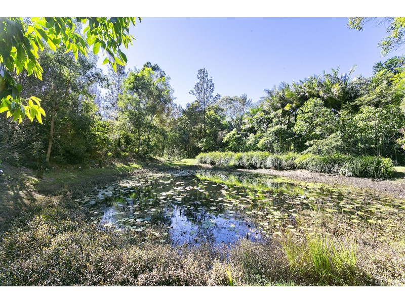 255 Repentance Creek Road, Goonengerry NSW 2482