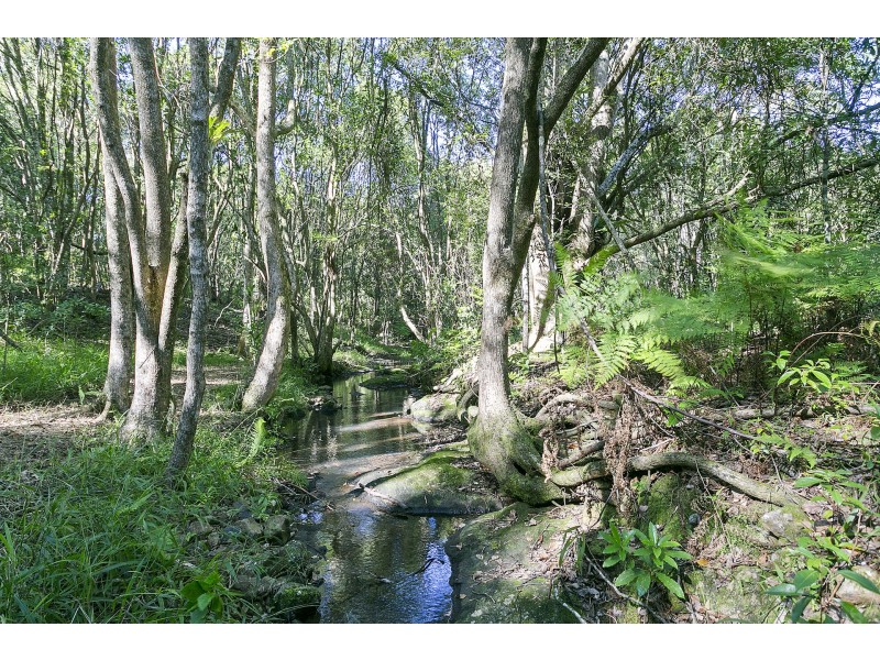 255 Repentance Creek Road, Goonengerry NSW 2482