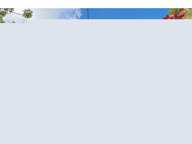 115 Paterson Street, Byron Bay NSW 2481