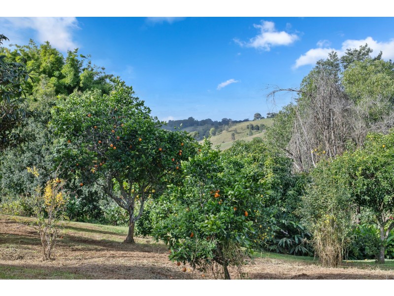 34 Dunromin Drive, Modanville NSW 2480