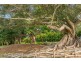 29 Benloro Lane, Myocum NSW 2481