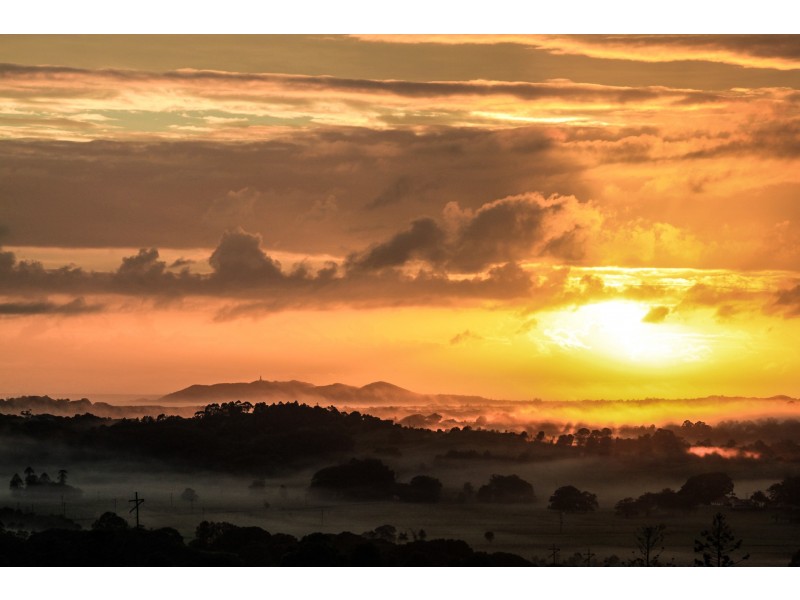 1300 Coolamon Scenic Drive, Montecollum NSW 2482