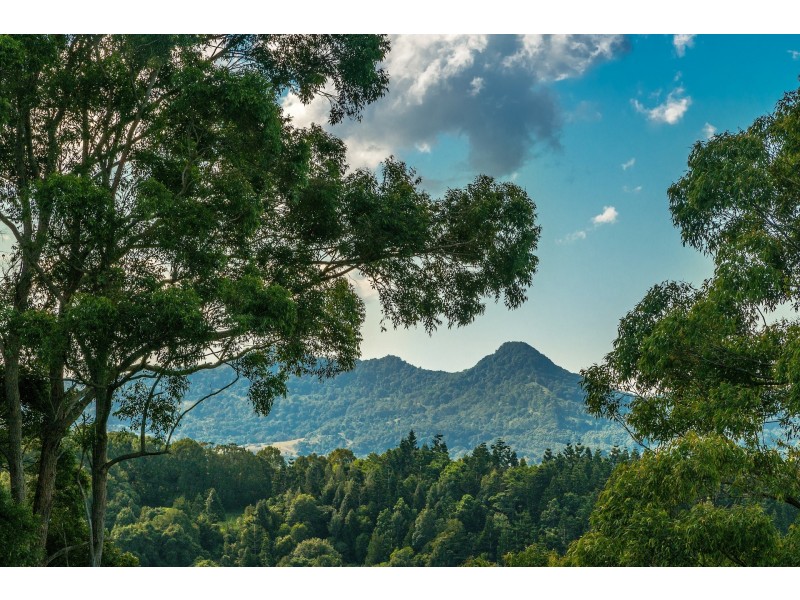 844 Coolamon Scenic Drive, Coorabell NSW 2479