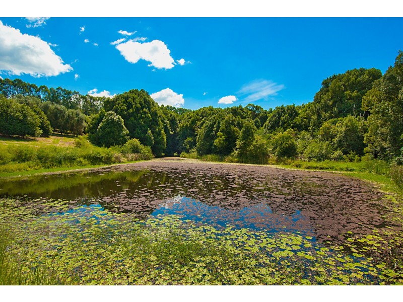 604 Lismore Road, Nashua NSW 2479