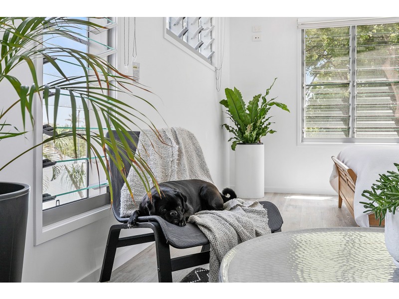 31 Bangalow Road, Byron Bay NSW 2481