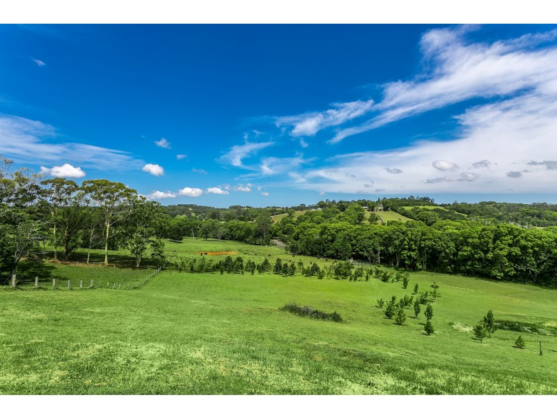 431 Friday Hut Road, Possum Creek NSW 2479