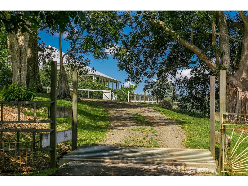 431 Friday Hut Road, Possum Creek NSW 2479