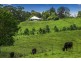 431 Friday Hut Road, Possum Creek NSW 2479
