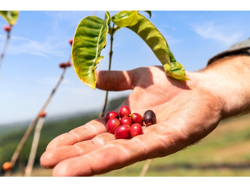 606 Lismore Road, Nashua NSW 2479