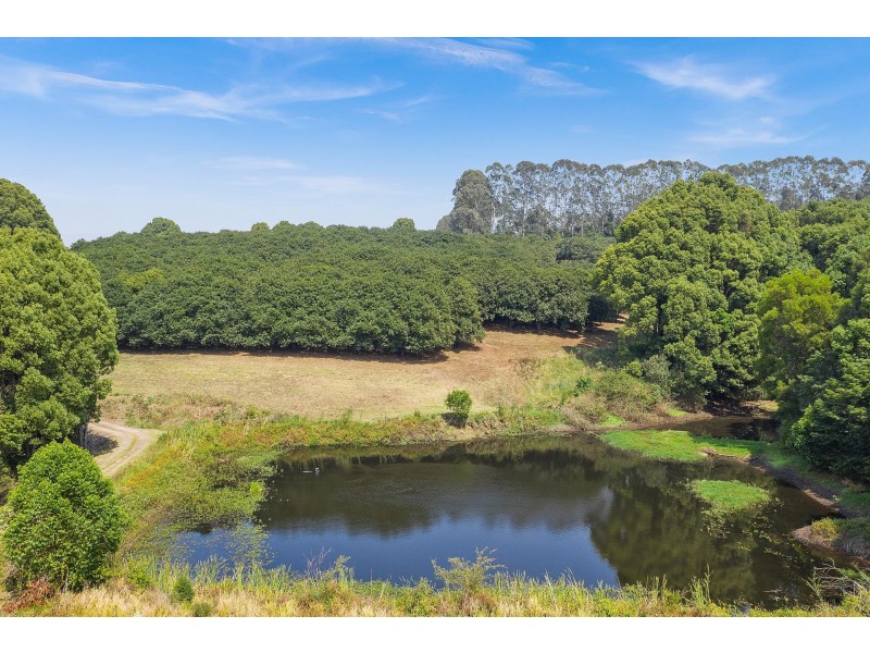 606 Lismore Road, Nashua NSW 2479