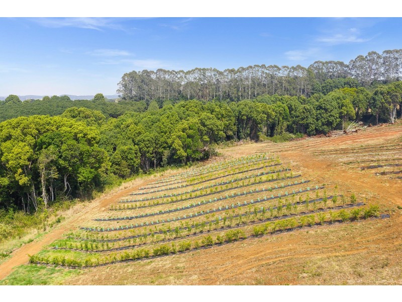 606 Lismore Road, Nashua NSW 2479