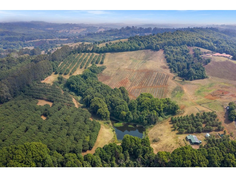 606 Lismore Road, Nashua NSW 2479