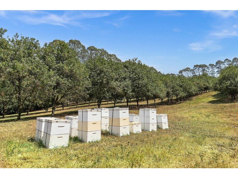 606 Lismore Road, Nashua NSW 2479