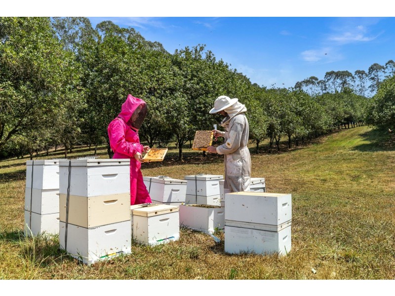 606 Lismore Road, Nashua NSW 2479