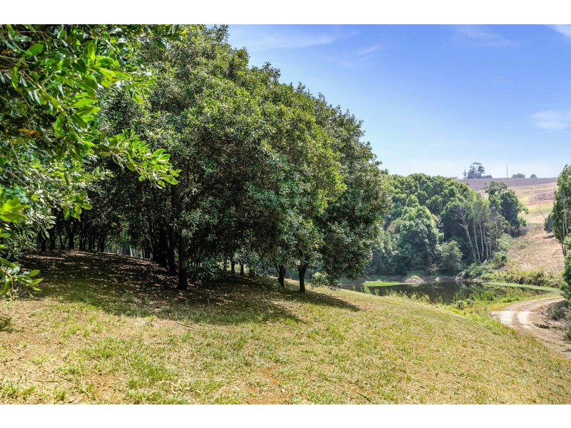 606 Lismore Road, Nashua NSW 2479