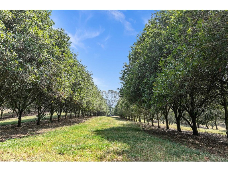 606 Lismore Road, Nashua NSW 2479