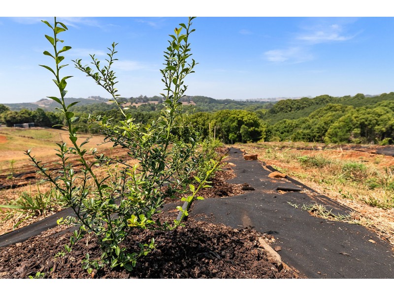 606 Lismore Road, Nashua NSW 2479