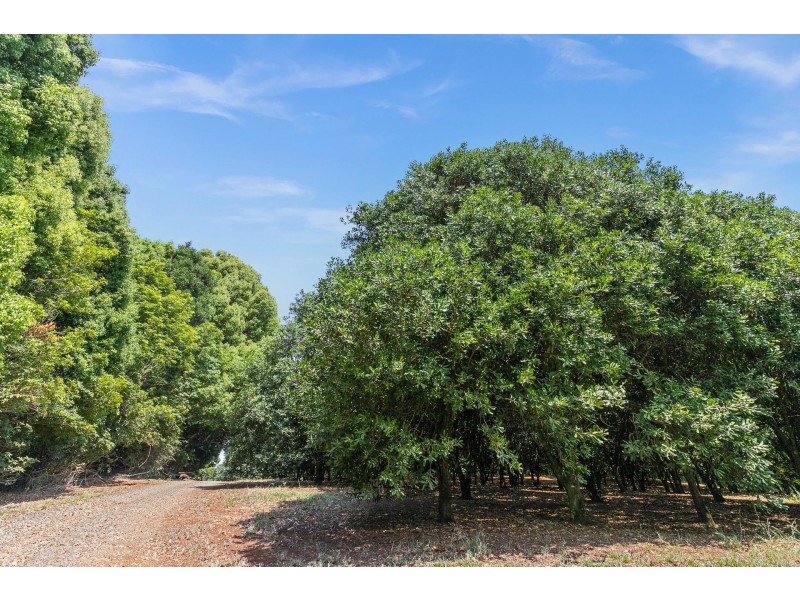 606 Lismore Road, Nashua NSW 2479