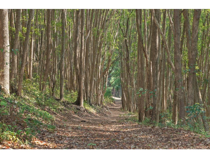 111 Taylors Road, Eureka NSW 2480