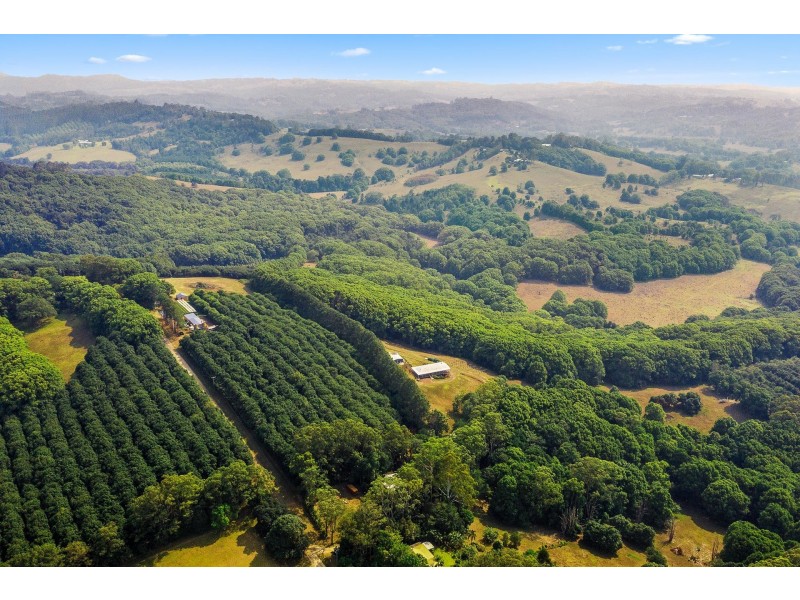 111 Taylors Road, Eureka NSW 2480