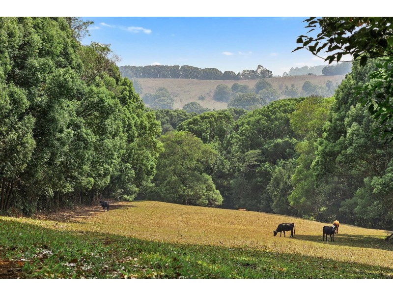 111 Taylors Road, Eureka NSW 2480