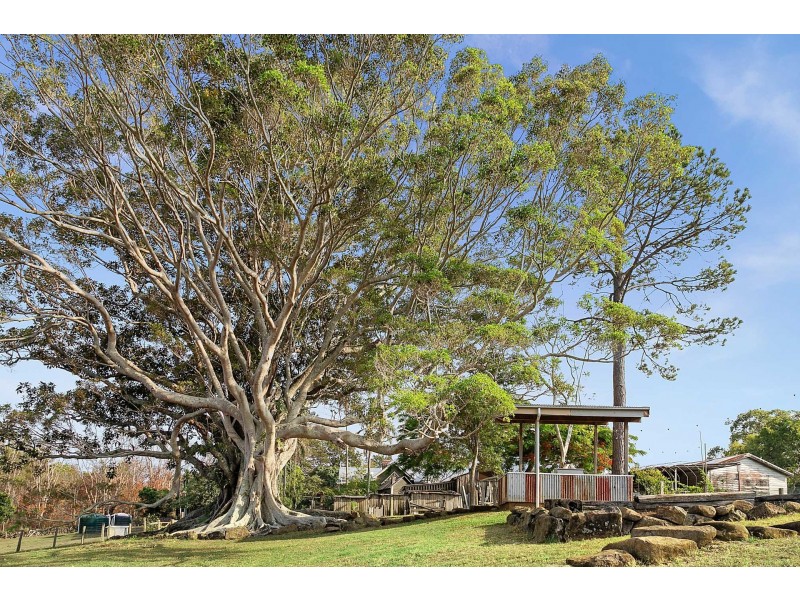 81 & 81A Myocum Road, Ewingsdale NSW 2481