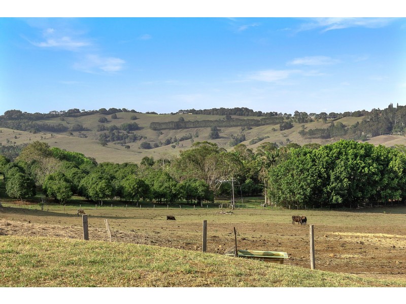 81 & 81A Myocum Road, Ewingsdale NSW 2481