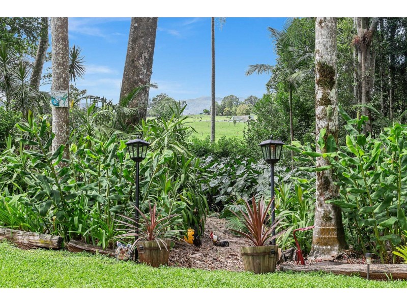 135 Rocky Creek Dam Road, Dunoon NSW 2480