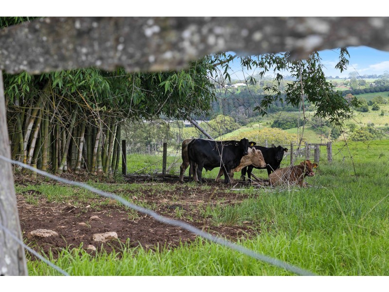 752 Bangalow Road, Talofa NSW 2481