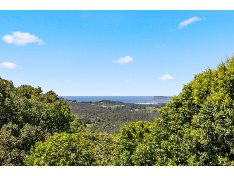 233 Coopers Shoot Road, Coopers Shoot NSW 2479